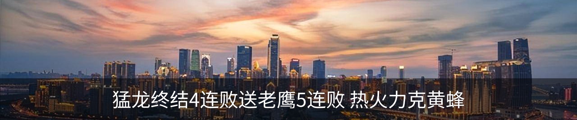 新闻动态